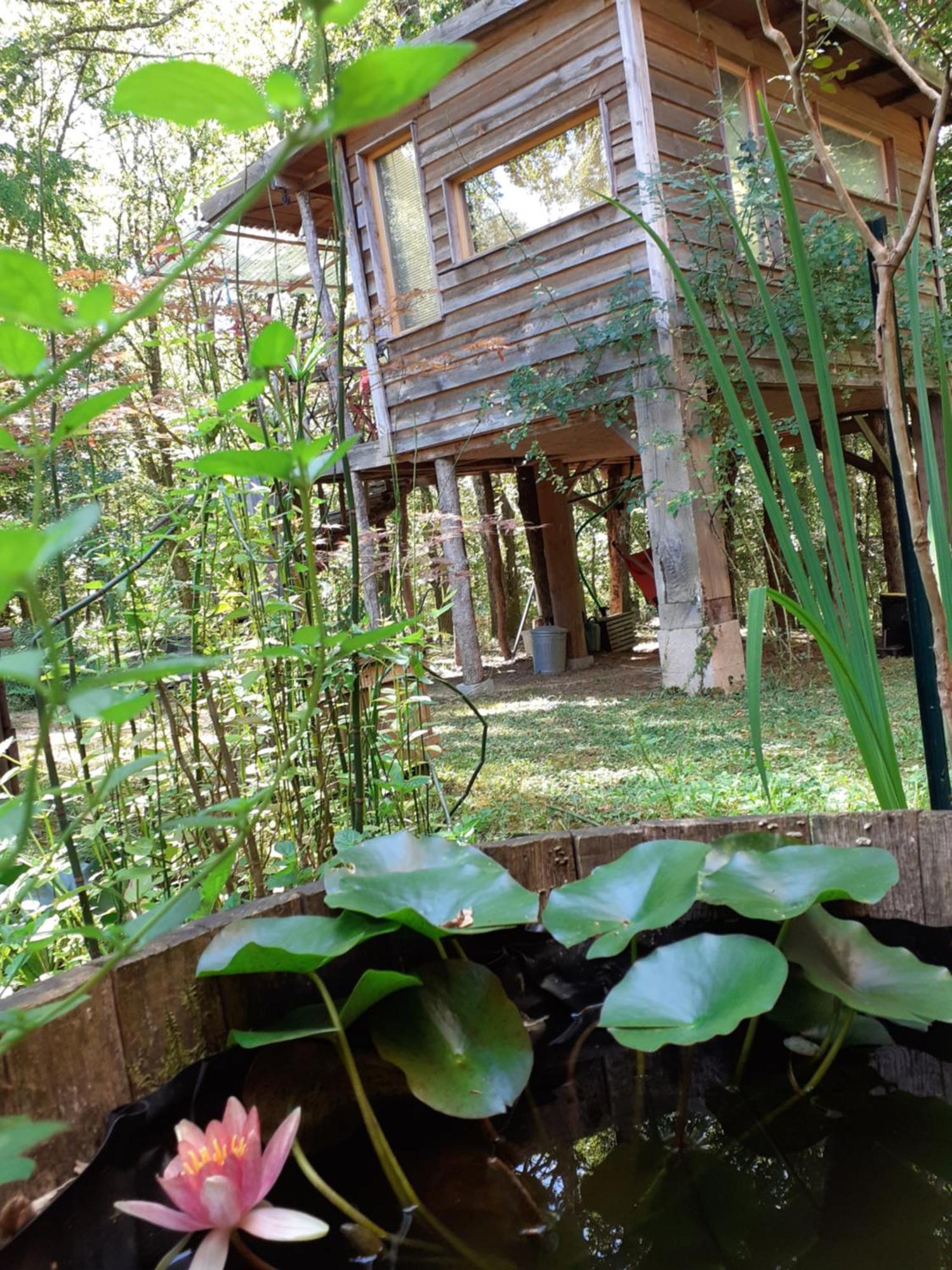 La Cabane De L'Oiseau Couze-et-Saint-Front Exterior photo