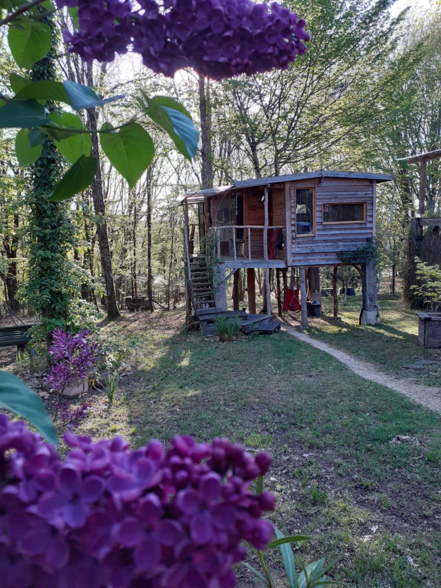 La Cabane De L'Oiseau Couze-et-Saint-Front Exterior photo