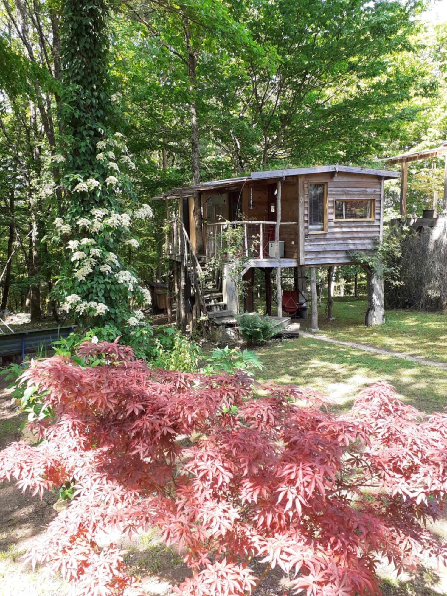 La Cabane De L'Oiseau Couze-et-Saint-Front Exterior photo